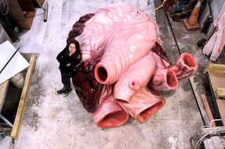 Lily Uivel with the fourth blue whales heart.