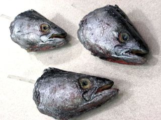 Gelatin fish heads