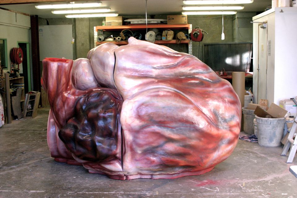The first blue whales heart.