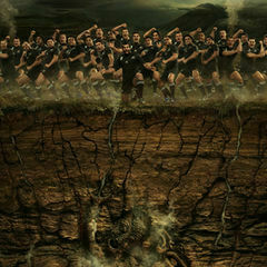 The All Blacks